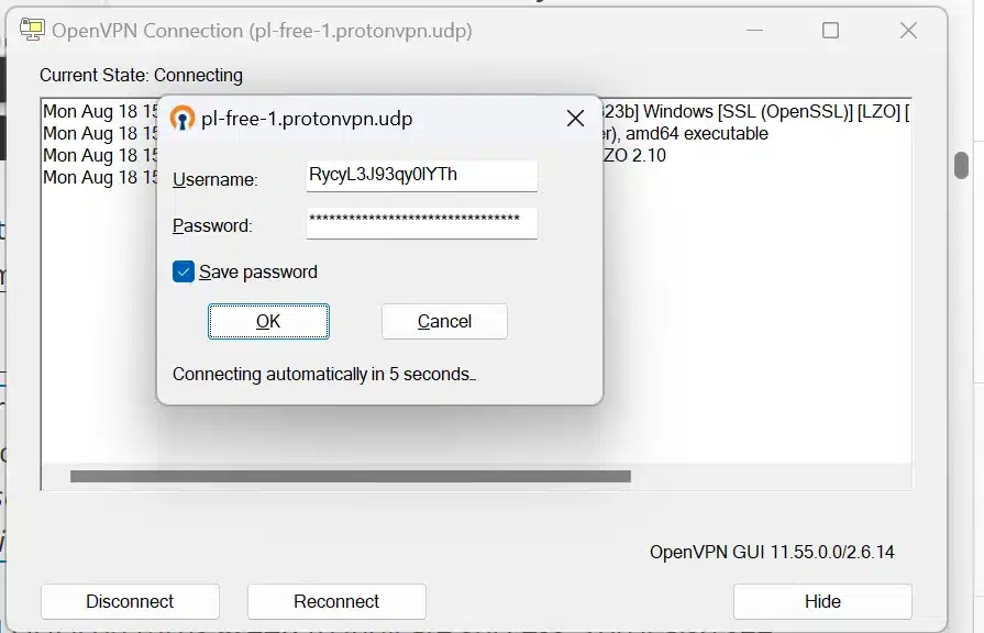 OpenVPN Installation guide on Windows, Android & Routers connection window open