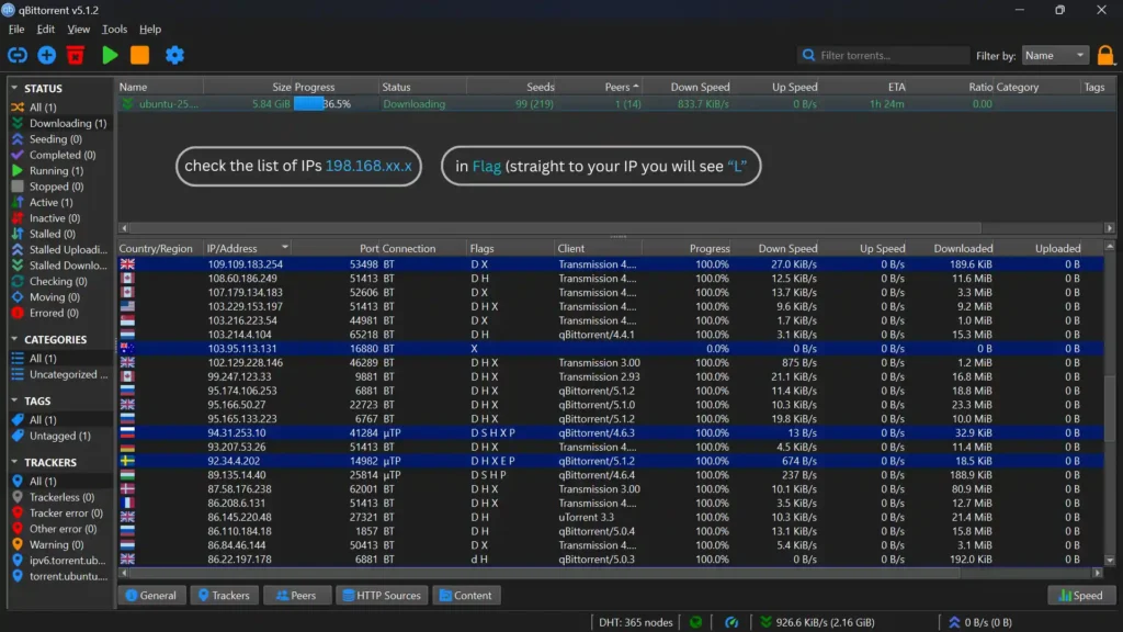 Torrent Client Settings DHT, PeX, LSD: That Matters to change (2025) local peer discovery lsd example